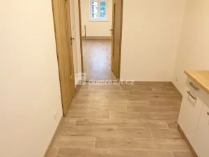 Pronájem bytu 1+1, Děčín - Děčín III-Staré Město, Žerotínova, 42 m2