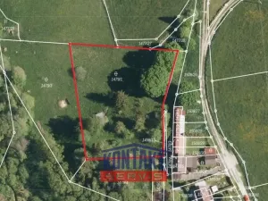 Prodej komerčního pozemku, Horní Planá - Hůrka, 3355 m2