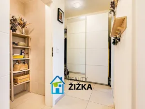 Prodej bytu 2+kk, Brno, Bělohorská, 60 m2