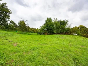 Prodej pozemku pro bydlení, Přibice, 2794 m2