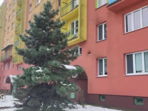 Prodej bytu 3+1, Havířov - Podlesí, Kosmonautů, 70 m2