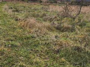 Prodej pozemku pro bydlení, Milešov, 1317 m2