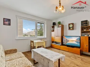 Prodej bytu 2+kk, Ústí nad Labem - Severní Terasa, Šrámkova, 40 m2