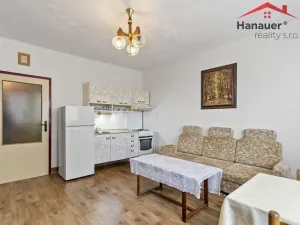 Prodej bytu 2+kk, Ústí nad Labem - Severní Terasa, Šrámkova, 40 m2