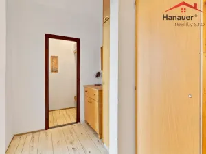 Prodej bytu 2+kk, Ústí nad Labem - Severní Terasa, Šrámkova, 40 m2