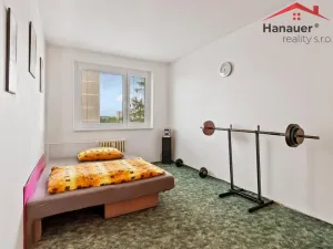 Prodej bytu 2+kk, Ústí nad Labem - Severní Terasa, Šrámkova, 40 m2