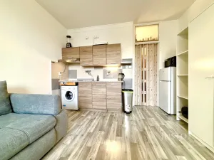 Pronájem bytu 1+kk, Frýdek-Místek, Vítězslava Nezvala, 27 m2