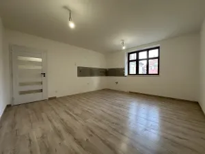Prodej bytu 3+kk, Liberec, Americká, 66 m2