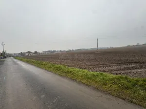 Prodej pozemku pro bydlení, Cholina, 1325 m2