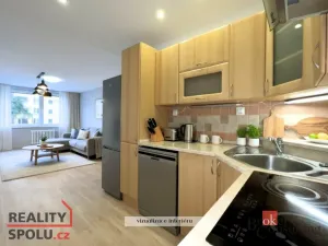 Pronájem bytu 4+kk, Praha - Žižkov, V zahrádkách, 72 m2