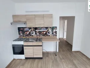 Pronájem bytu 1+1, Cheb, Šeříková, 40 m2