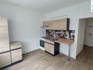 Pronájem bytu 1+1, Cheb, Šeříková, 40 m2