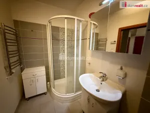 Prodej rodinného domu, Mariánské Lázně - Hamrníky, Ladova, 221 m2