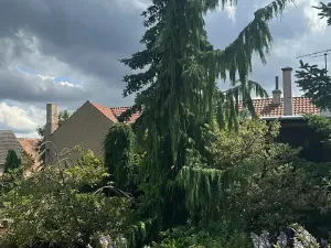 Prodej rodinného domu, Líský, 250 m2