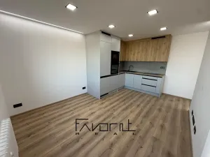 Pronájem bytu 2+kk, Ostrava, Svazácká, 40 m2