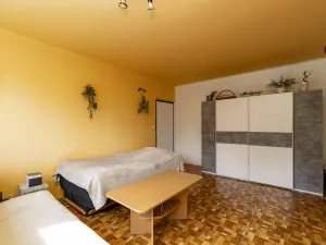 Prodej bytu 1+1, Ostrava - Výškovice, Výškovická, 39 m2