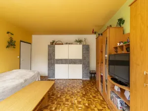 Prodej bytu 1+1, Ostrava - Výškovice, Výškovická, 39 m2