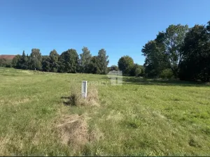 Prodej pozemku pro bydlení, Bušovice, 3737 m2