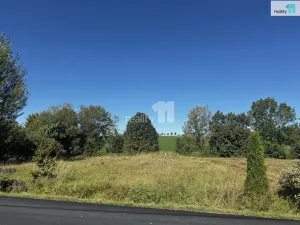 Prodej pozemku pro bydlení, Bušovice, 3737 m2