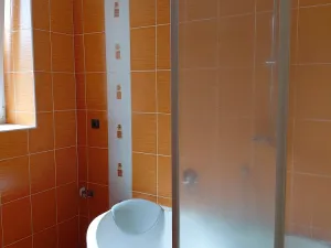 Prodej bytu 4+1, Mladá Vožice, Milady Jungmanové, 143 m2