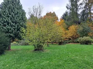 Prodej zahrady, Chlístovice, 1161 m2