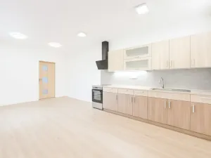 Pronájem bytu 2+kk, Ústí nad Labem, Všebořická, 60 m2