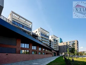 Pronájem bytu 2+kk, Praha - Holešovice, Jankovcova, 65 m2