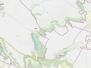 Dražba lesa, Mladoňovice, 2344 m2