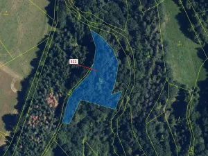 Dražba lesa, Bouzov, 2554 m2