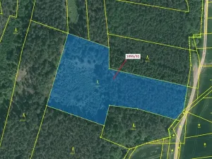 Dražba lesa, Milavče, 9168 m2