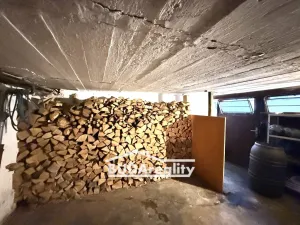 Prodej vícegeneračního domu, Žlutava, 355 m2