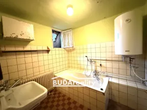 Prodej vícegeneračního domu, Žlutava, 355 m2