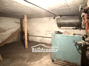 Prodej vícegeneračního domu, Žlutava, 355 m2