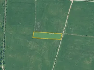 Prodej louky, Cerhonice, 41957 m2