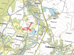 Prodej pole, Svídnice, 46128 m2