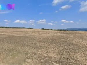 Prodej pole, Dolní Němčí, 16693 m2