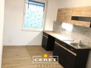 Prodej bytu 2+1, Žatec, Elišky Krásnohorské, 52 m2