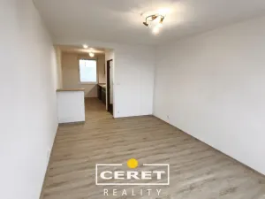 Prodej bytu 2+1, Žatec, Elišky Krásnohorské, 52 m2