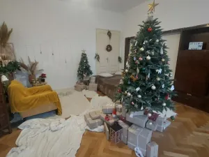 Pronájem bytu 4+1, Olomouc, tř. Svobody, 110 m2