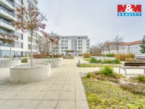 Prodej bytu 2+kk, Plzeň, Stehlíkova, 66 m2