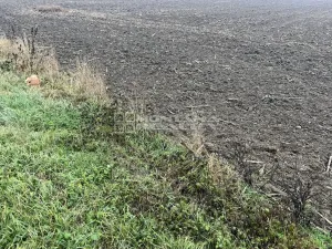 Prodej pole, Troubky, 33891 m2