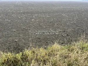 Prodej pole, Bochoř, 16443 m2