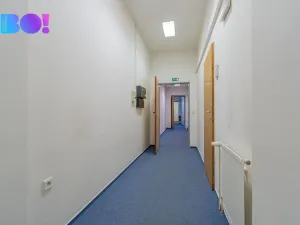 Pronájem kanceláře, Olomouc, Riegrova, 174 m2