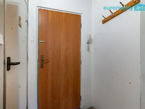 Prodej bytu 1+1, Luby, Tovární, 36 m2