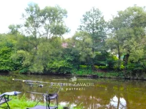 Pronájem bytu 3+1, Ledeč nad Sázavou, Marie Majerové, 69 m2