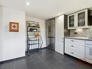 Prodej vícegeneračního domu, Těšovice, 540 m2