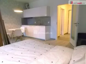 Pronájem bytu 1+kk, Praha, Strnadových, 33 m2