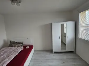 Pronájem bytu 1+1, Teplice, Antala Staška, 35 m2
