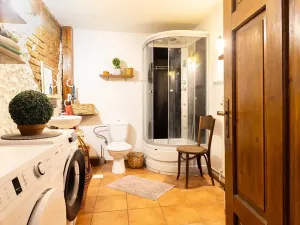 Prodej vícegeneračního domu, Bžany, 240 m2