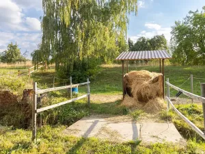 Prodej vícegeneračního domu, Bžany, 240 m2